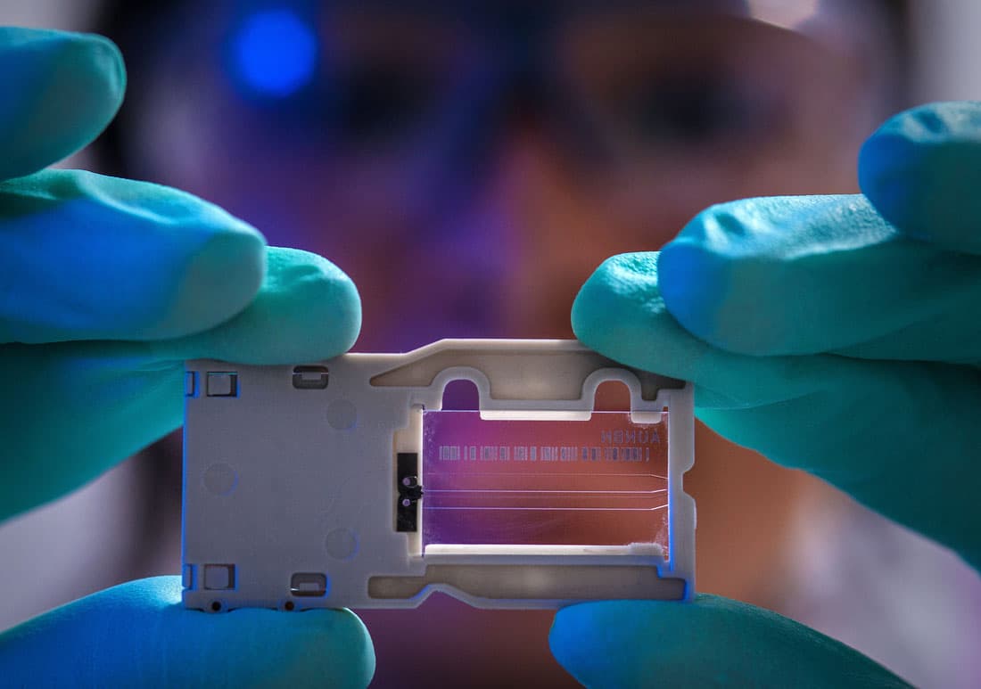 person holding slide